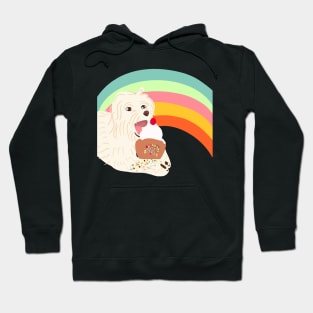 Rainbow Sweet! Hoodie